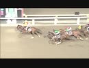 2019年8月16日大井競馬9R 流星賞(A2以下) エッシャー