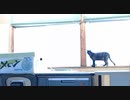 あなたのドジっぷりは見逃しませんよーｗ