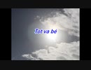 EVHA92Català