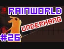 命がけのサバイバル！RainWorld実況するで#26【Switch/日本語版】