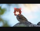 スズメ神社.sparrow