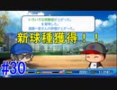 【パワプロSwitch】左アンダースローで100勝100H100Sを目指す part30