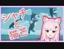 【ABZÛ】シャチと猫芒【猫芒ベル/ViViD】