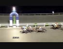 2019年8月17日高知競馬9R 彩夢＆逢心パパ協賛 高知競馬３年目特別(C2-2組) テンカムソウ