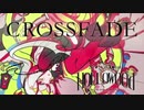 illanai-assorted