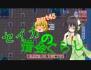 【Stardew Valley】 セイカの借金ぐらし　Part45