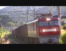 1658レ EH500-66+コキ＠二ツ井通過