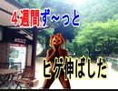 【ヒゲ伸ばし】４週間ヒゲを剃らずに伸ばし続けた結果・・・もっと伸ばしたい気持ちと早く剃ってスッキリしたい気持ちが交錯してます（俺のヒゲ伸ばし）[俺のシリーズ]