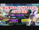 【FGO】初心者がマーリンガチャをするとこうなります。　