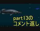 川のぬし釣り 秘境を求めて Nicozon
