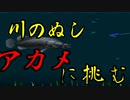 川のぬし釣り 秘境を求めて Nicozon