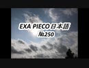 EXA PIECO250日本語