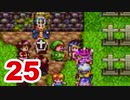 【実況】新米勇者が今度はドラクエ3の世界を満喫するpart25【DQⅢ】