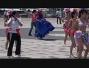 【4K高画質】まつり ダンス サンバ 踊り サンバ フェスティバル61