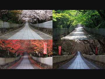 4K]京都の四季(春夏秋冬)の写真集(Four season,Spring summer
