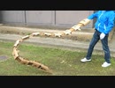東京喰種/トーキョーグール/フエグチ壱を作る/ダンボール工作/