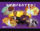 あいちトリエンナーレ★いまだ逃亡中　大村秀章の巨大ブーメラン『なぜ逃げるのですか？』県民の声バージョン