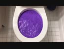 スライムをトイレに流してみた５
