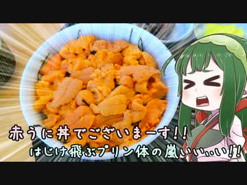 ［九州四国快晴編］GSX-R1000とどこへ行こう？part.02[龍と黄金と豚さんと]