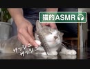 【モアクリ】 モフモフの音 【猫的ASMR】