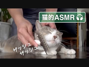 【モアクリ】 モフモフの音 【猫的ASMR】