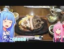 【琴葉姉妹】とにかくバイクで走りたい。 ＃2丸山県民サンビーチ【400X】