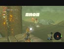 【ゼル伝BotW】100年の眠りから目覚めた勇者の冒険８５【もちまる】