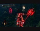 【ダークソウルR】逢い死会う侵入１６