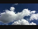 Pexels Videos 3723　大内徹