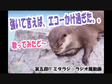 第五回！！ミタラジ☆ラジオ風動画