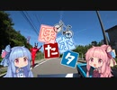 【VOICEROID車載】ぽたポタ 第五回 佐渡ロングライド2019(後編) 【自転車】