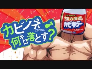 カビノネ何キロ落とす？OP『お願いカビキラー』