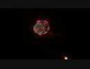 2019.8.17（山形）赤川花火　デザイン花火 「Song of Life ～砂漠に芽吹く、生命の詩～」