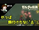 【実況】マスターモードでやりこみサバイバル生活！！　Part11　【ゼルダの伝説　BotW】