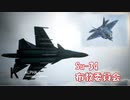 Ace Combat 7 Multiplayer276  バトルロイヤル  Su-34 + HCAA