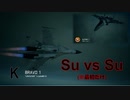 Ace Combat 7 Multiplayer277  バトルロイヤル  Su-37 + HPAA