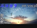 【ニコカラ】SUMMER DIVER【on vocal】
