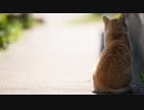 【CeVIOラジオ】One Thousand Radio #2【GYNOIDラジオ】