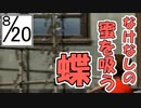 【ぼくのなつやすみ２】ぼくの夏休みはノスタルジーで満ちている ２０日目【実況】