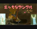 【趣味】拙いですがパンツでマスターになる【ゼルダの伝説ブレスオブザワイルド】pants86