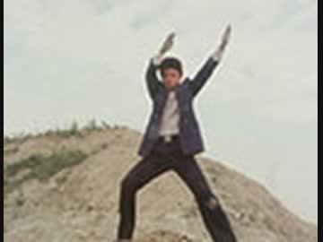 仮面ライダー（新）　第38話「来たれ城茂！月給百万円のアリコマンド養成所」