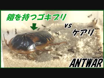 「数の暴力」の本当の意味。