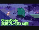 広大な世界を冒険しよう！　CrossCode実況プレイpart113