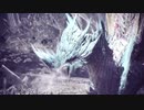 【PS4】『モンスターハンターワールド：アイスボーン』第4弾PV