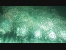 【2019】第31回 神明の花火 グランドフィナーレ