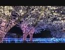 夜桜ナイトZOO 最終日 ぶらり園内散歩 2019/4/7