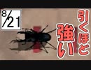 【ぼくのなつやすみ２】ぼくの夏休みはノスタルジーで満ちている ２１日目【実況】