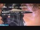 FINAL FANTASY XIV 魔法DPSロールクエスト　part1