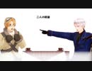 【実録】カフェにて【APヘタリア】