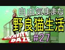 広大な都市を縦横無尽に駆け巡る！　【GRAVITY DAZE】　#27